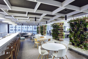 Office Space Solutions for Growing Tech Companies in California [2025]