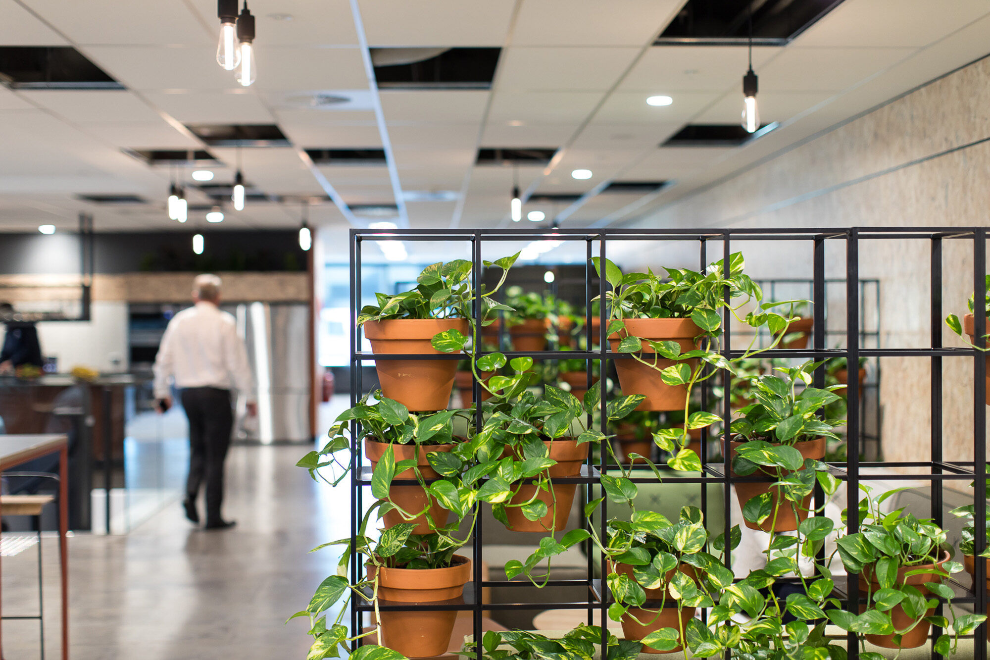 CBH Facilitate Corporation Office Fitouts 1755