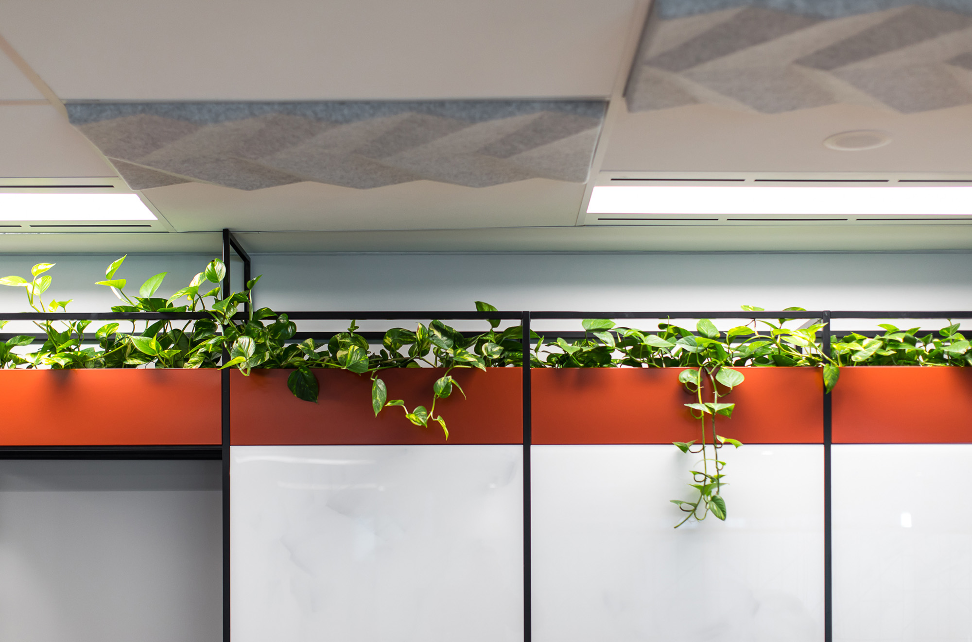 CBH Facilitate Corporation Office Fitouts 1776