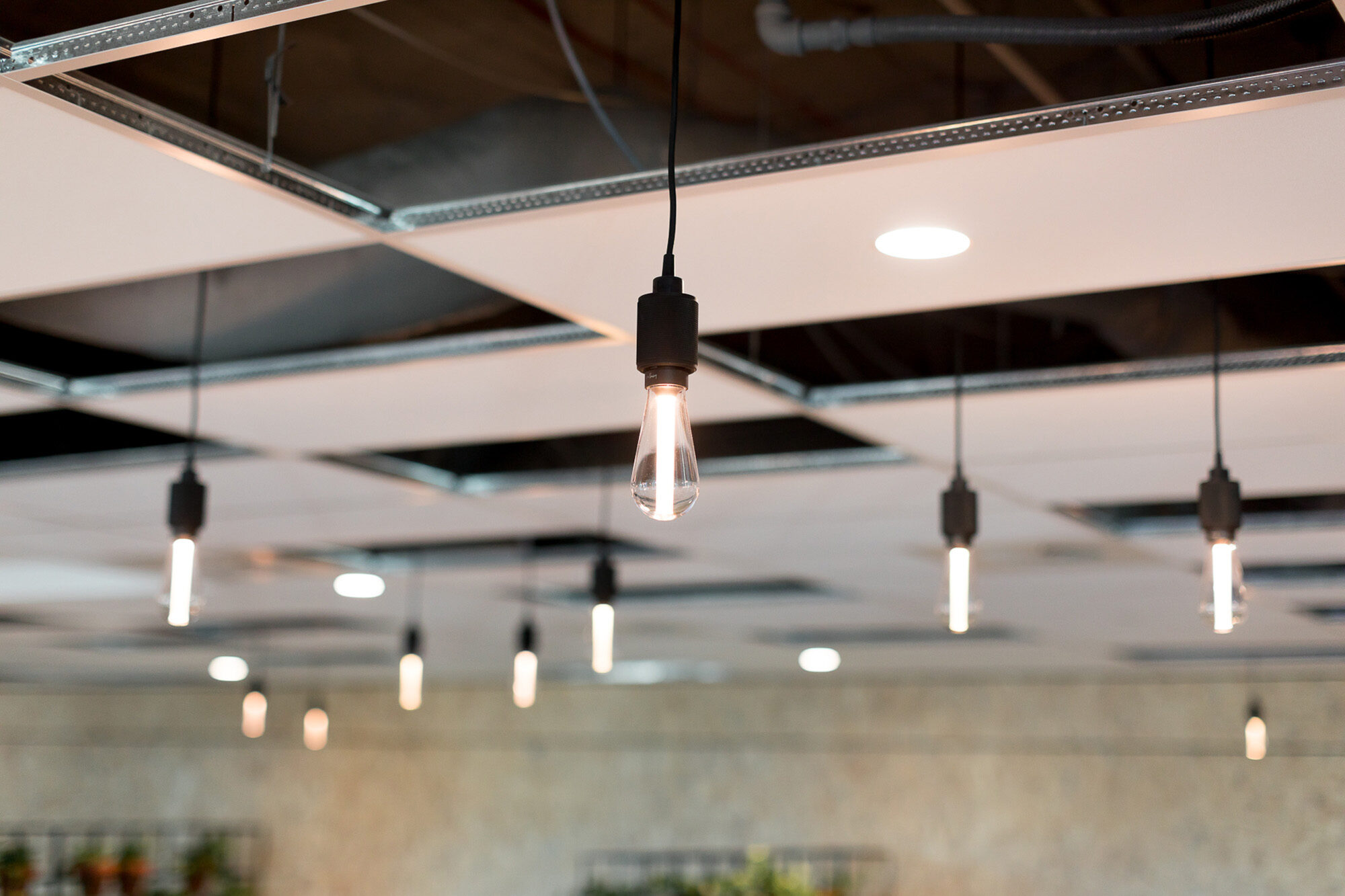 CBH Facilitate Corporation Office Fitouts 1857