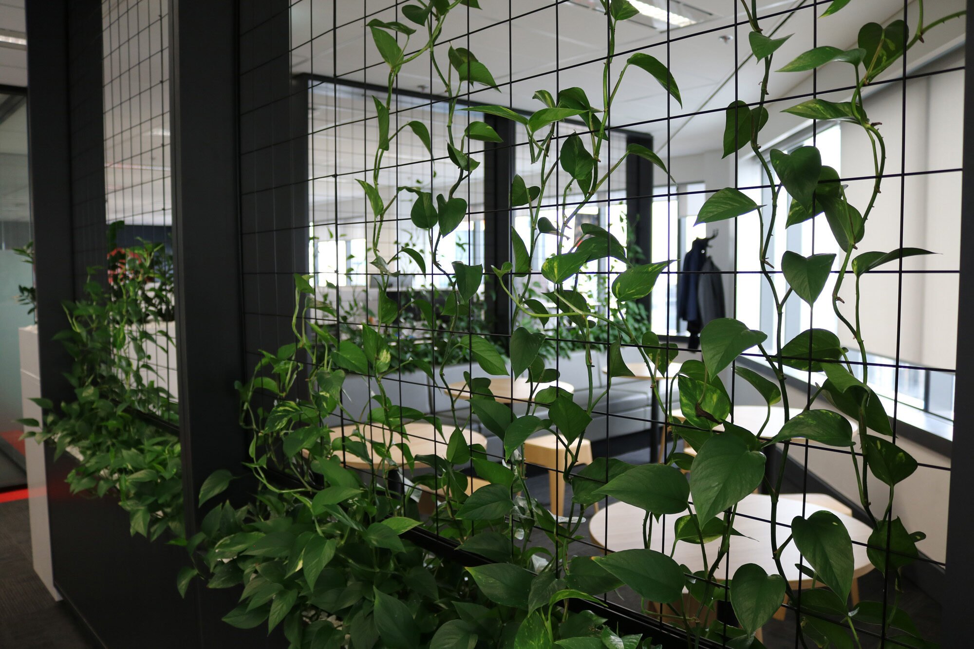 Crowdstrike Facilitate Corporation Office Fitouts 0933