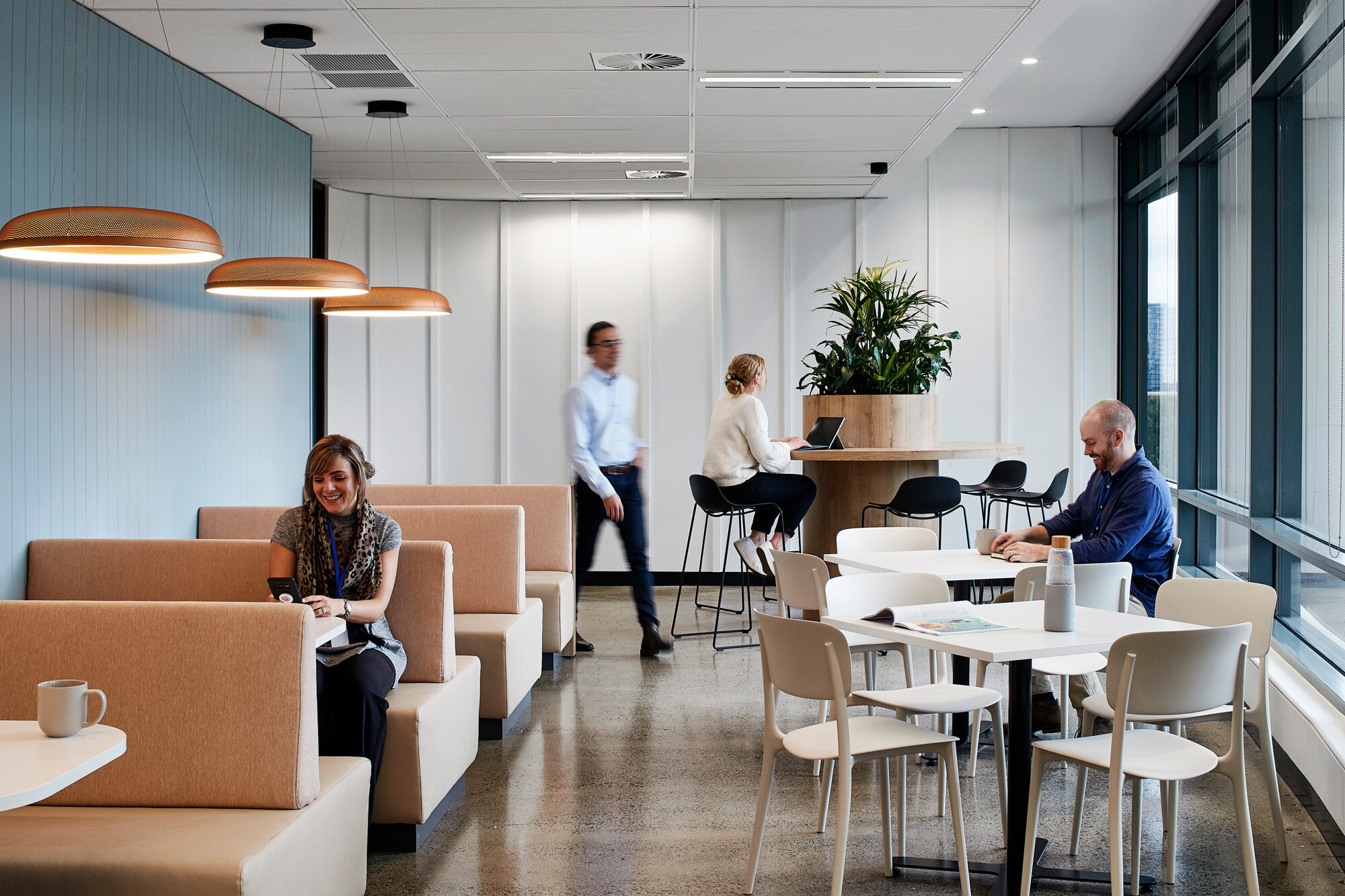 Medhealth 2966 Facilitate Corporation Design Build