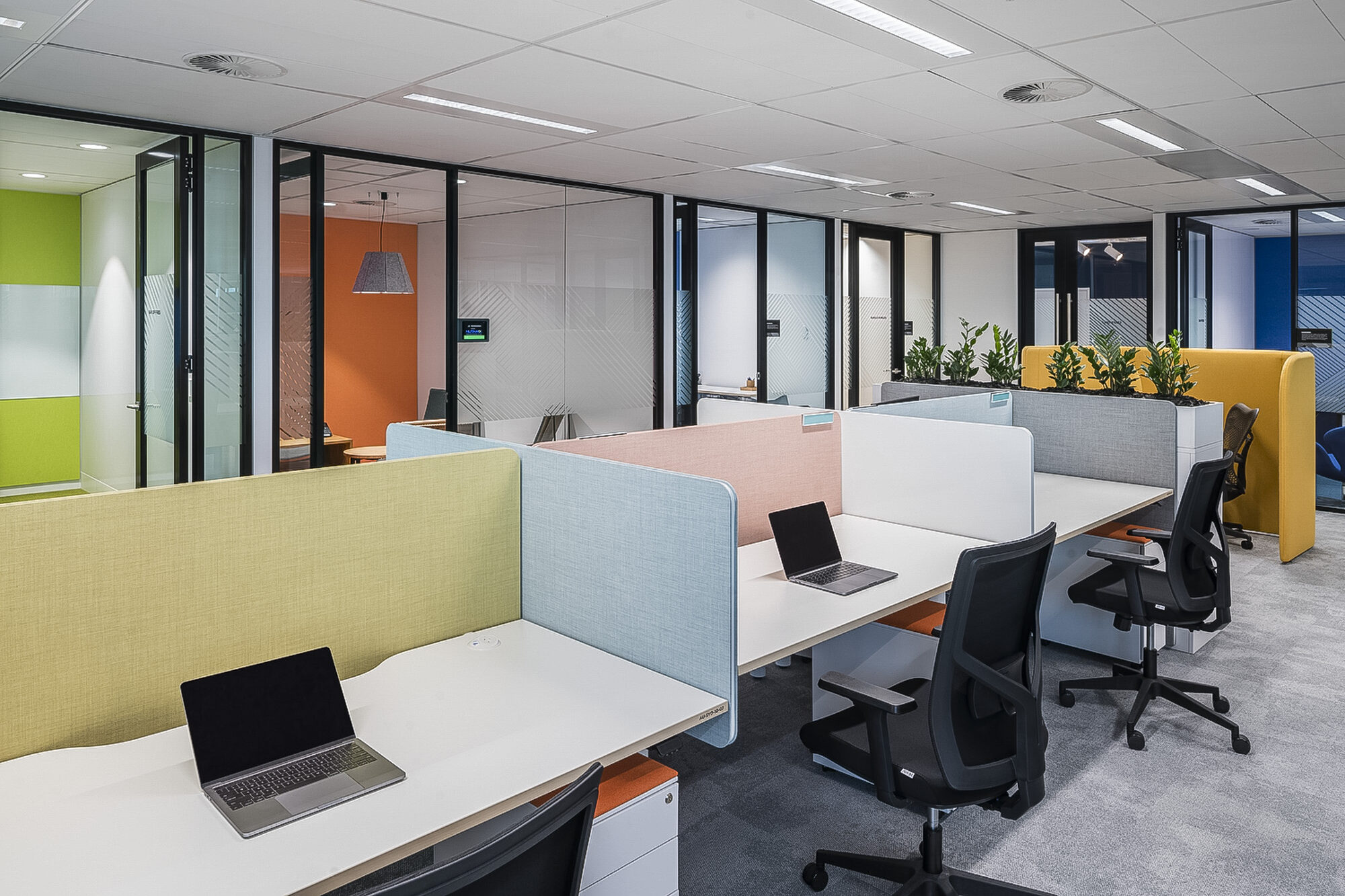 Nutanix Sydney Facilitate Corporation Workplace Design Build 0611