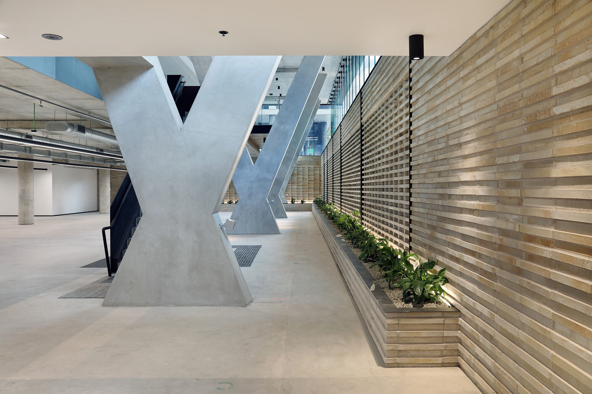 Xero Melbourne 057 Facilitate Corporation Workspace Design