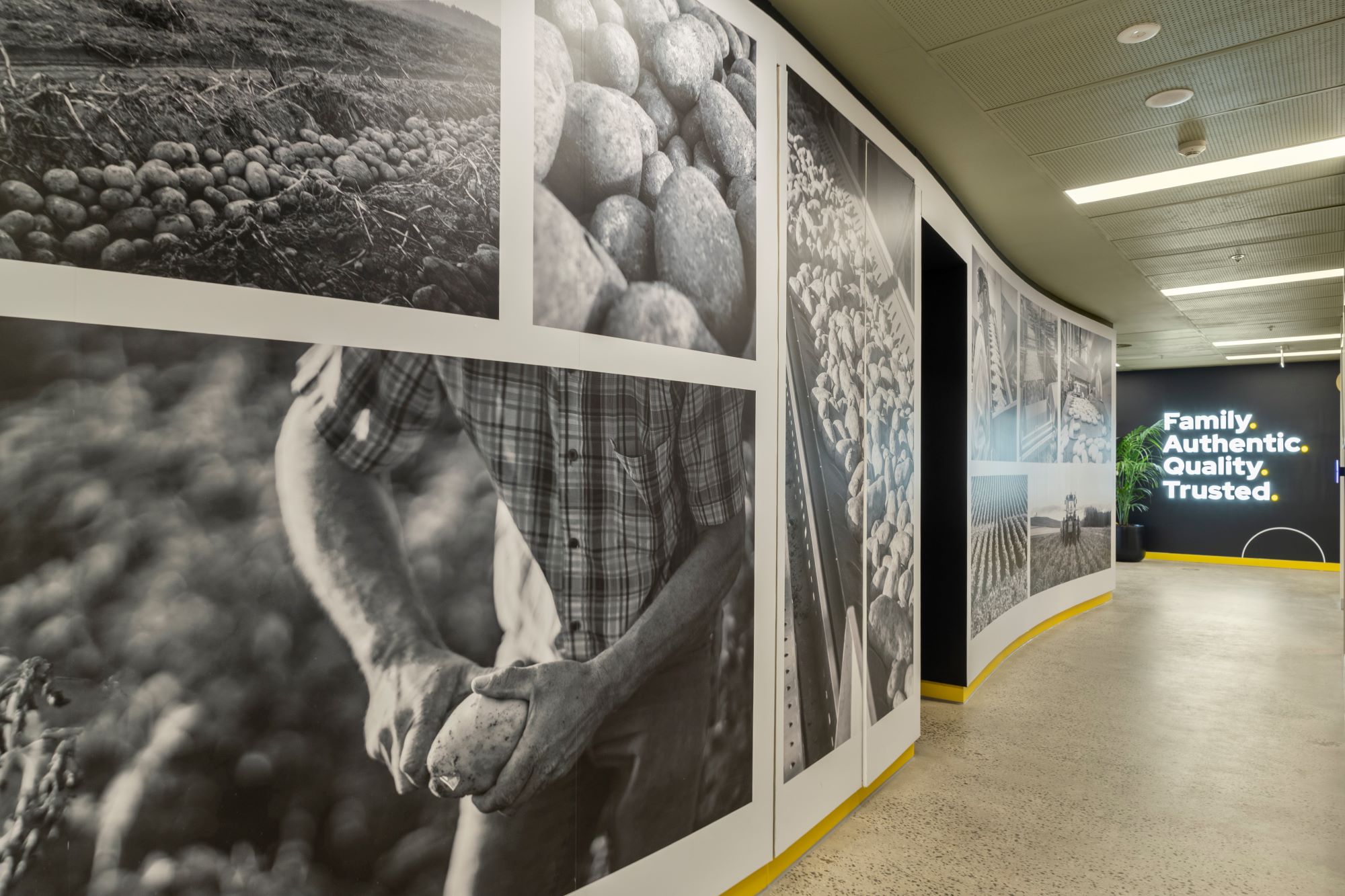 Facilitate McCain Pictures