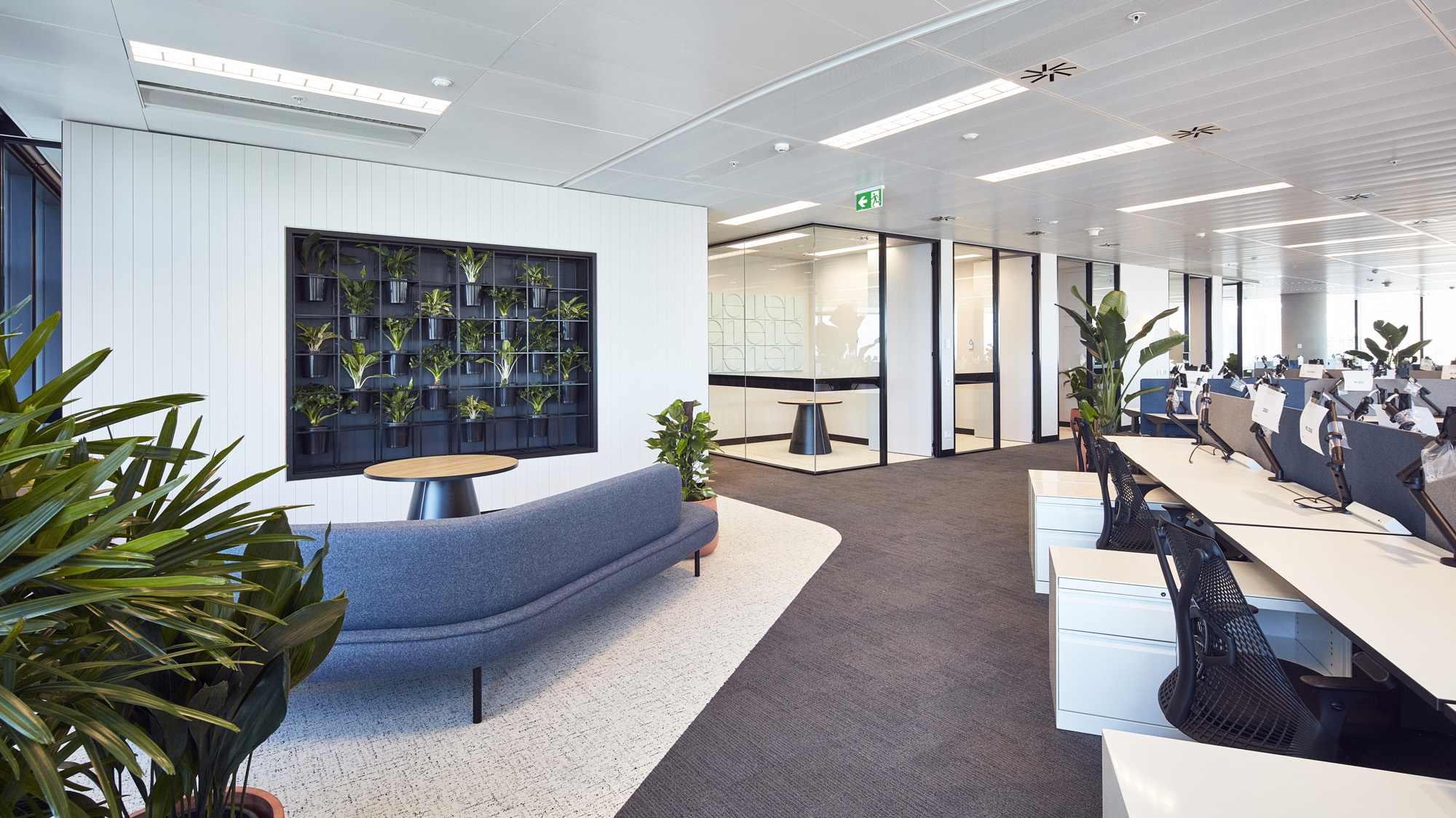 The Trade Desk Sydney Facilitate Corporation Workplace Manage Build 0227
