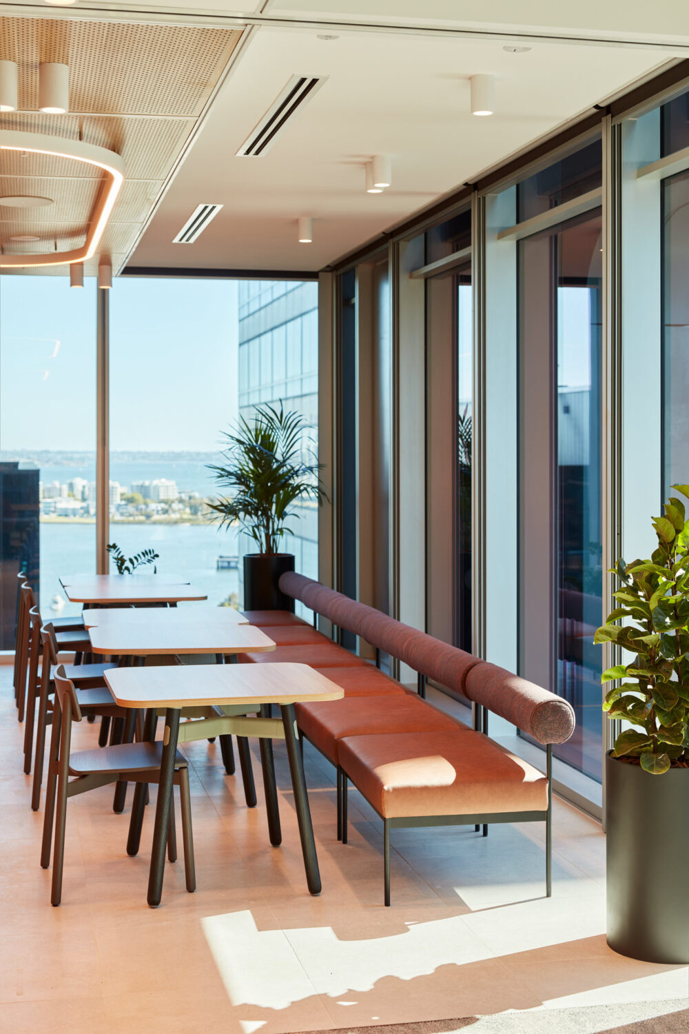 Squire Patton Boggs