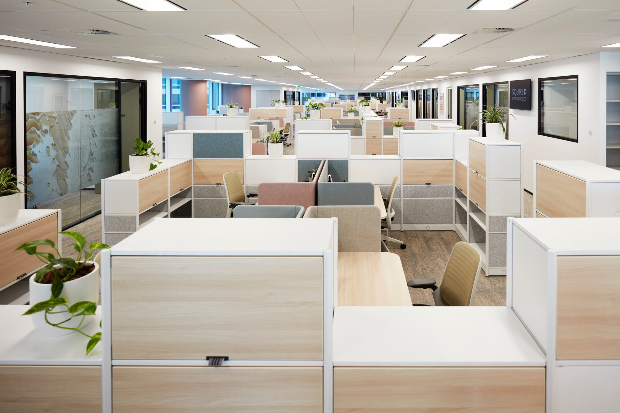 Squire Patton Boggs