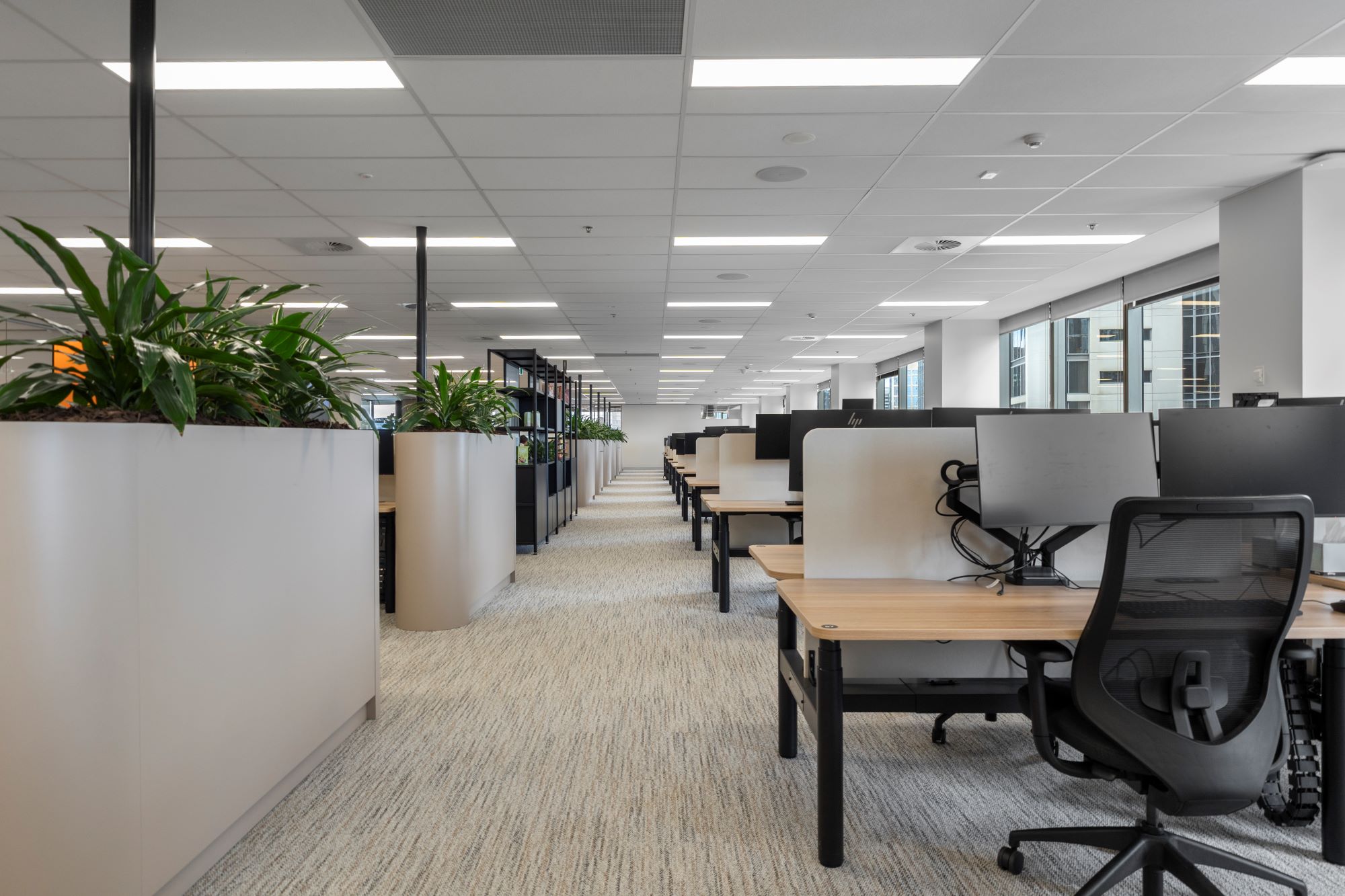 Facilitate McCain Office